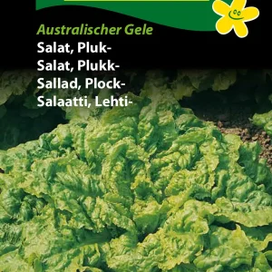 Salat, Pluk-, Australischer Gele (D) 1314