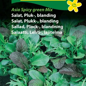Salat, Pluk-, blanding, Asia Spicy Green (D) 1301