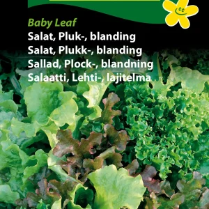 Salat, Pluk-, blanding, Baby Leaf (B) 1386