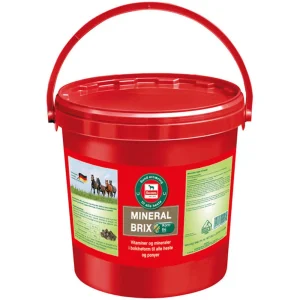 Salvana Mineral Brix – 8 kg.
