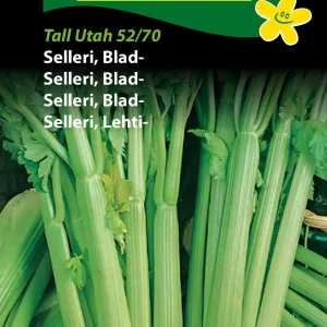 Selleri, Blad-, Tall Utah 52/70 (D) 1321