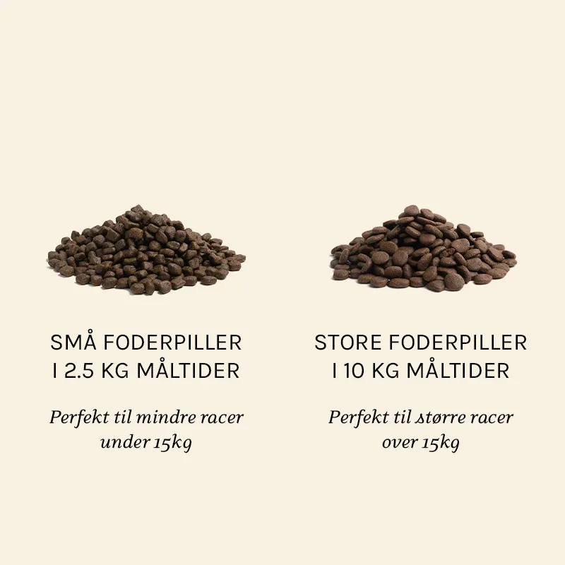 Senior Older - Image 2
