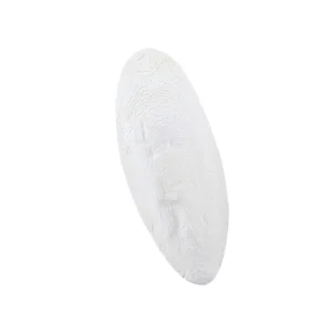 Sepiaskaller 1, 15-20 cm, 1 kg