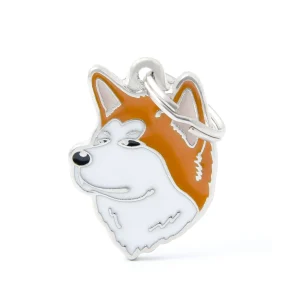 Shiba Inu