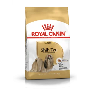 Shih Tzu Adult