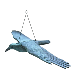 Skræmmer Flyvende rovfugl B.81 Cm