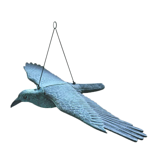 Skræmmer Flyvende rovfugl B.81 Cm