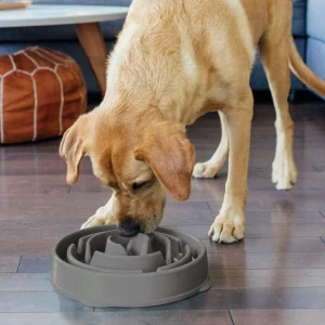 Slow Feeder Fun Feeder Large