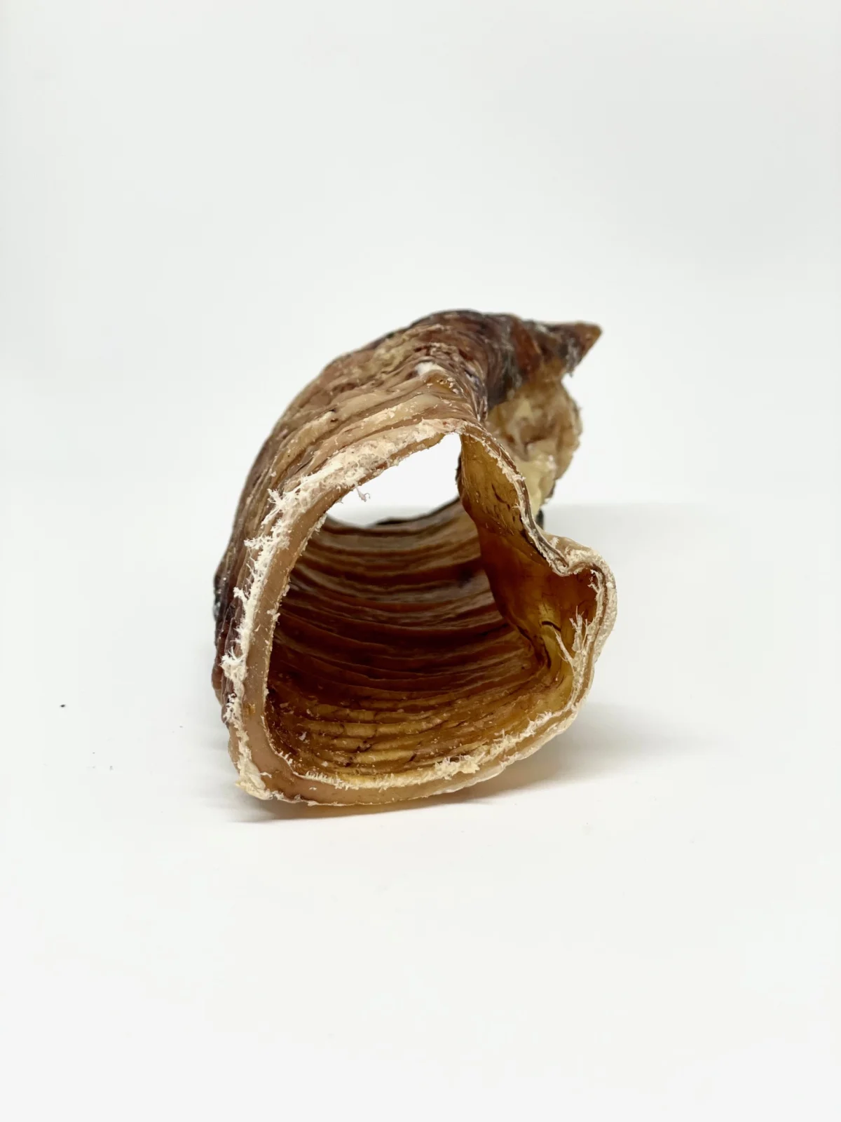 Snittede Oksestruber - Image 2