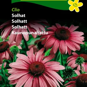 Solhat, Clio (D) 1738