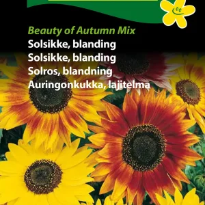 Solsikke, bl. Beauty of Autumn Mix (D) 1803