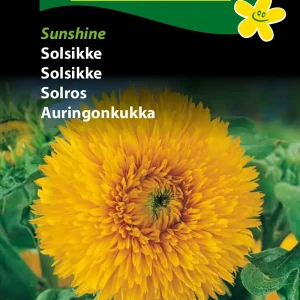 Solsikke, Sunshine (D) 1740
