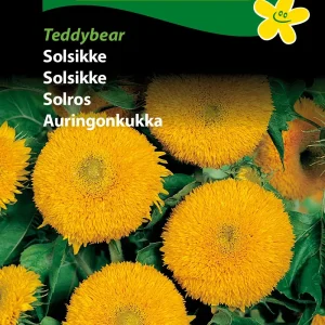 Solsikke, Teddybear ( C) 1842