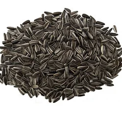 Solsikkekerner stribede 2,5 kg.
