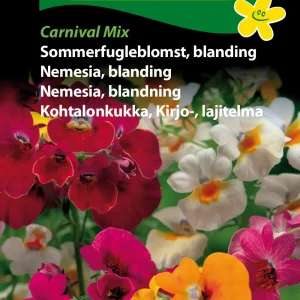 Sommerfugleblomst, bla, Carnival Mix (C) 1843
