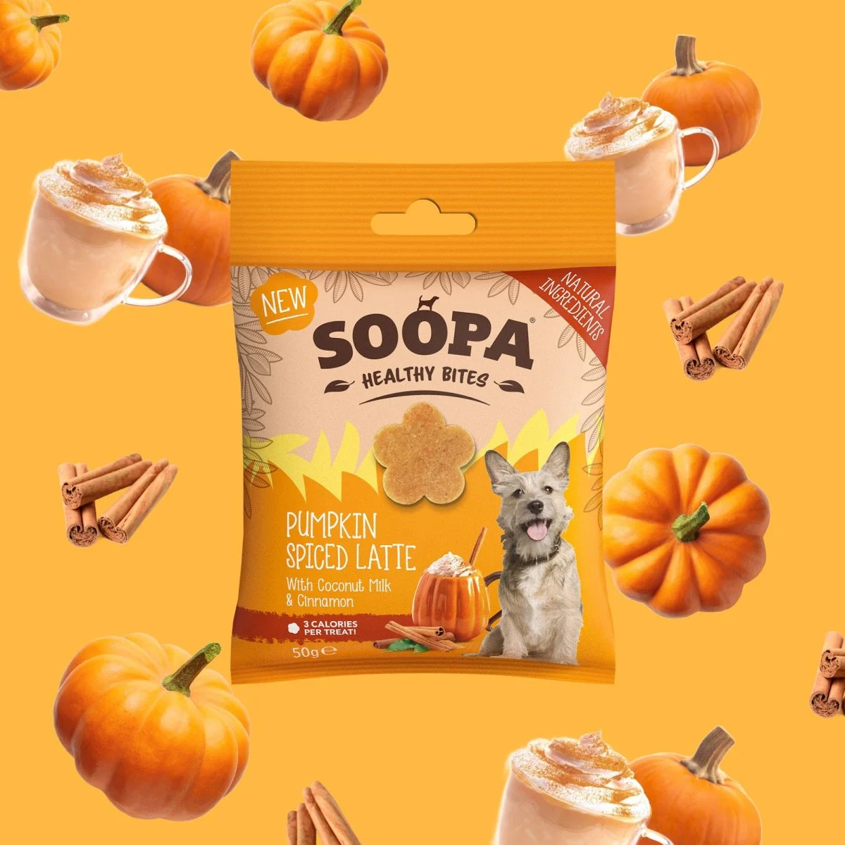 Soopa – Godbidder m. Græskar & Krydret Latte – 50g