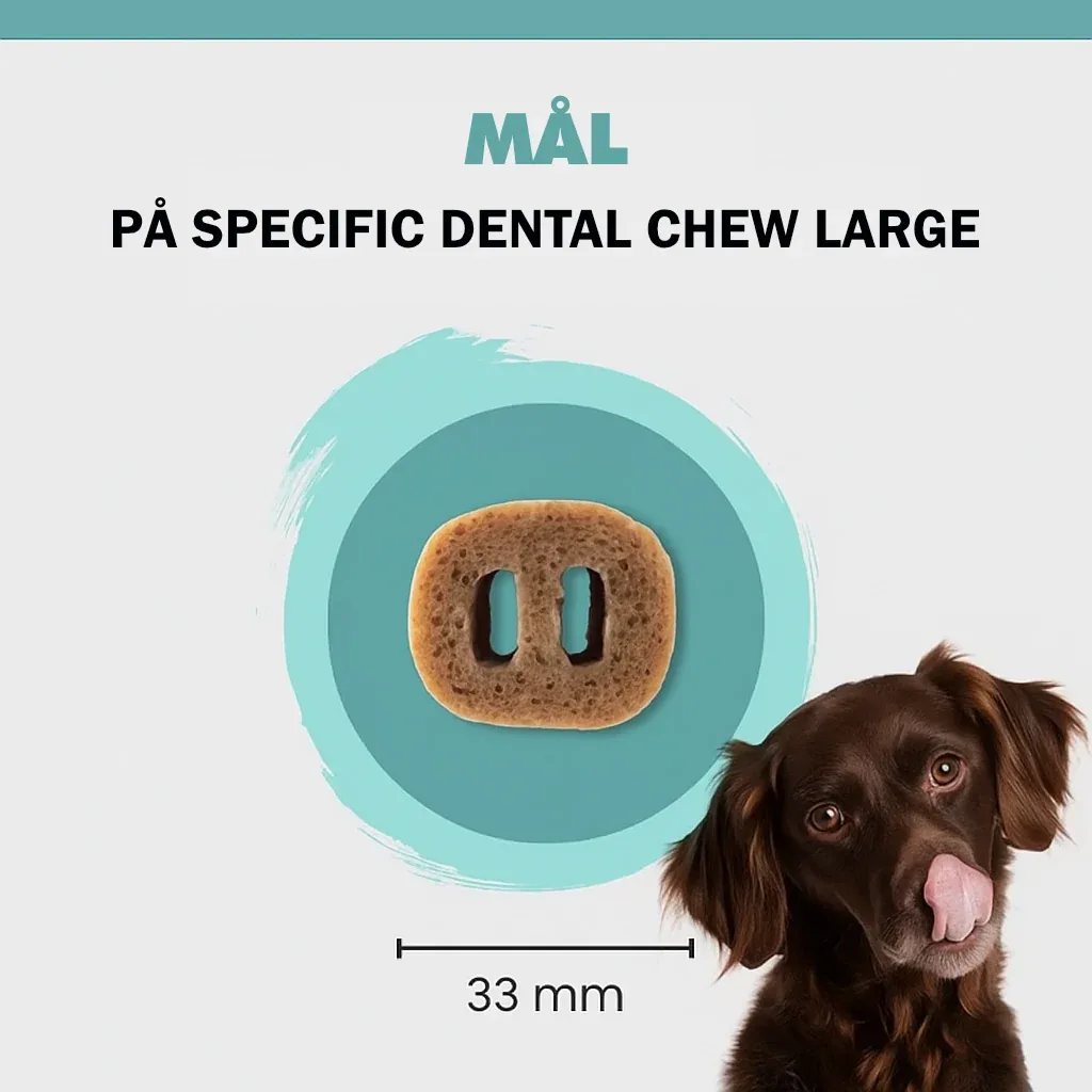 Specific Dental Chew Large CT-DC-L 100g - Image 2
