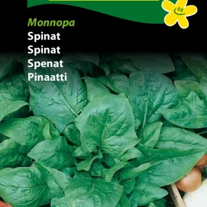 Spinat, Monnopa (C) 1324