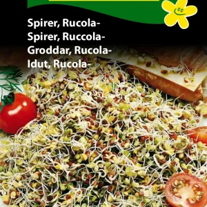 Spirer, Rucola (D) 1330