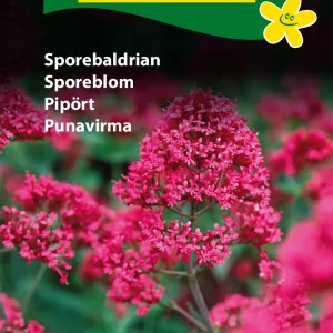 Sporebaldrian (D) 1873