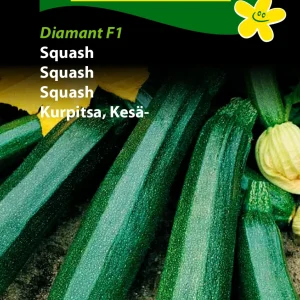 Squash, Diamant F1 (D) 1334