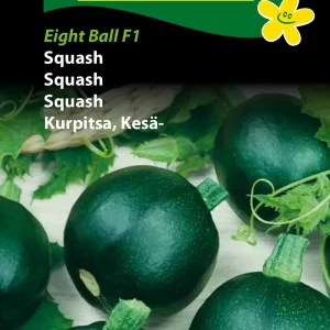 Squash, Eight Ball F1 (F) 1331