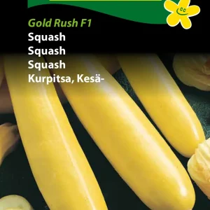 Squash, Gold Rush F1 (D) 1335