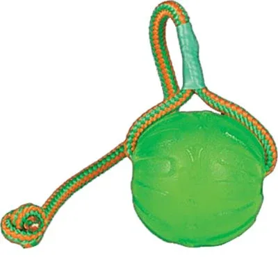 Starmark Hundelegetøj Slidstærkt, Swing ´n Fling Chew Ball