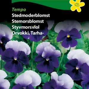 Stedmoderblomst, Tempo (C) 1844