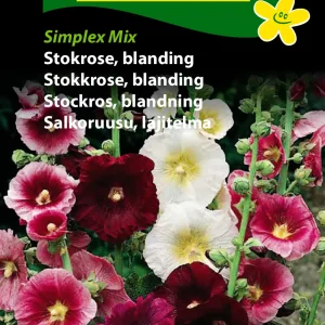 Stokrose, blanding, Simplex Mix (D) 1747
