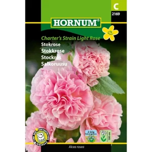 Stokrose Charter’s Strain Light Rose ( C) 2169