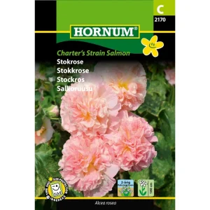 Stokrose Charter’s Strain Salmon ( C) 2170