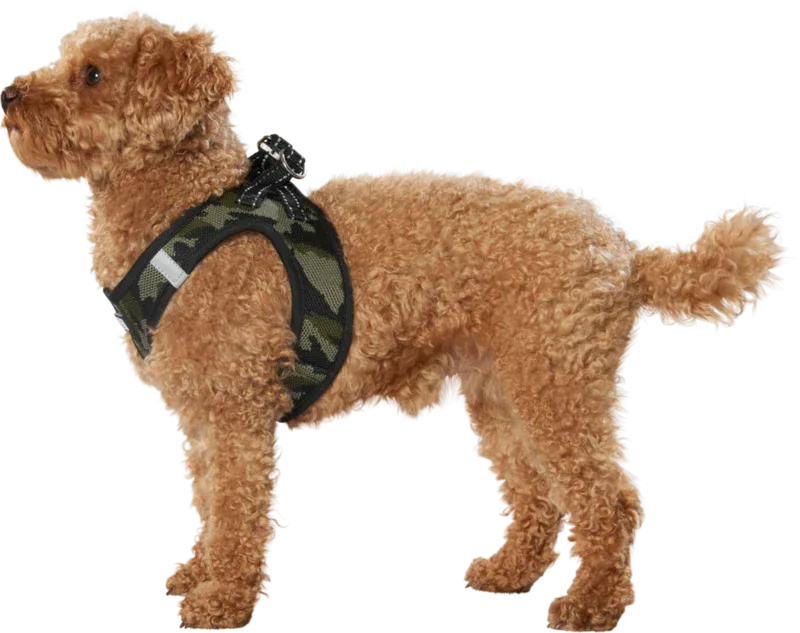 Strikvest 4XS camouflage - Image 2