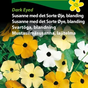 Susanne m.d. Sorte øje, Dark Eyed (F) 1752