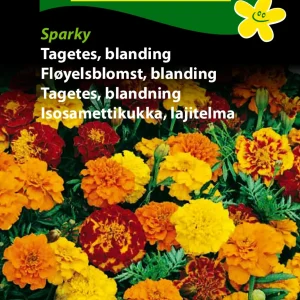 Tagetes, blanding, Sparky (B) 1755