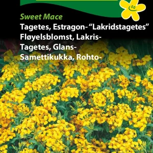 Tagetes, Estragon-, Lakridstag. (D) 1136