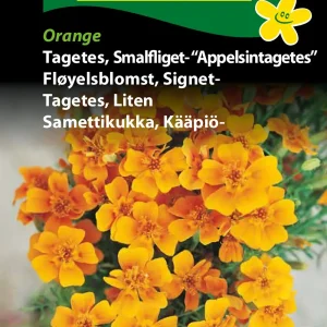 Tagetes, Smalfliget- Appelsintag.” (E ) 1137
