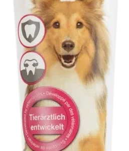 Tandpasta gel 100 ml