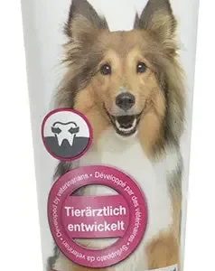 Tandpasta mintsmag 100 ml