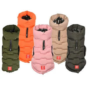Teckel Edge Coat (Dachshund)