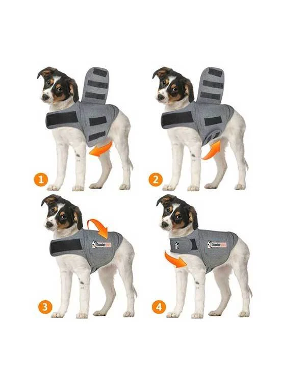 Thundershirt til hunde kan berolige og afhjælpe angst - Image 2