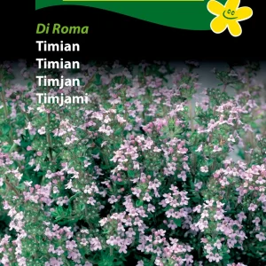 Timian, Di Roma (B) 1126