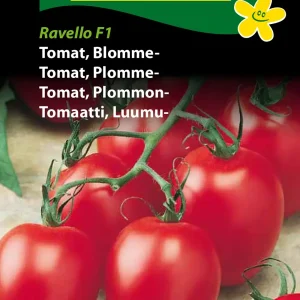 Tomat, Blomme-, Ravello F1 (F) 1341