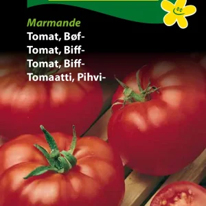 Tomat, Bøf-, Marmande (B) 1343