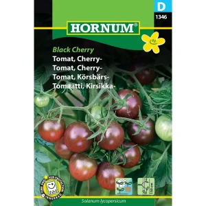 Tomat, Cherry-, Black Cherry (D) 1346