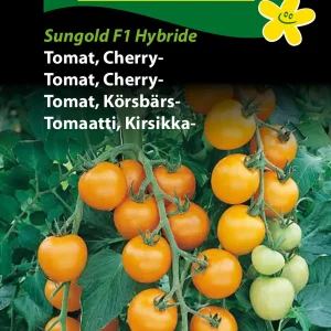 Tomat, Cherry-, Sungold F1 (F) 1347
