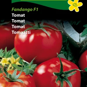 Tomat, Fandango F1 (E) 1407