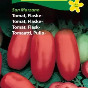 Tomat, Flaske, San Marzano (D) 1418