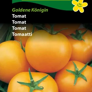 Tomat, Goldene Königin (D) 1336