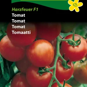 Tomat, Harzfeuer F1 (F) 1337